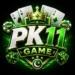 PK11 Game