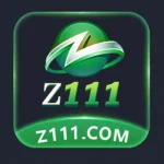 Z111